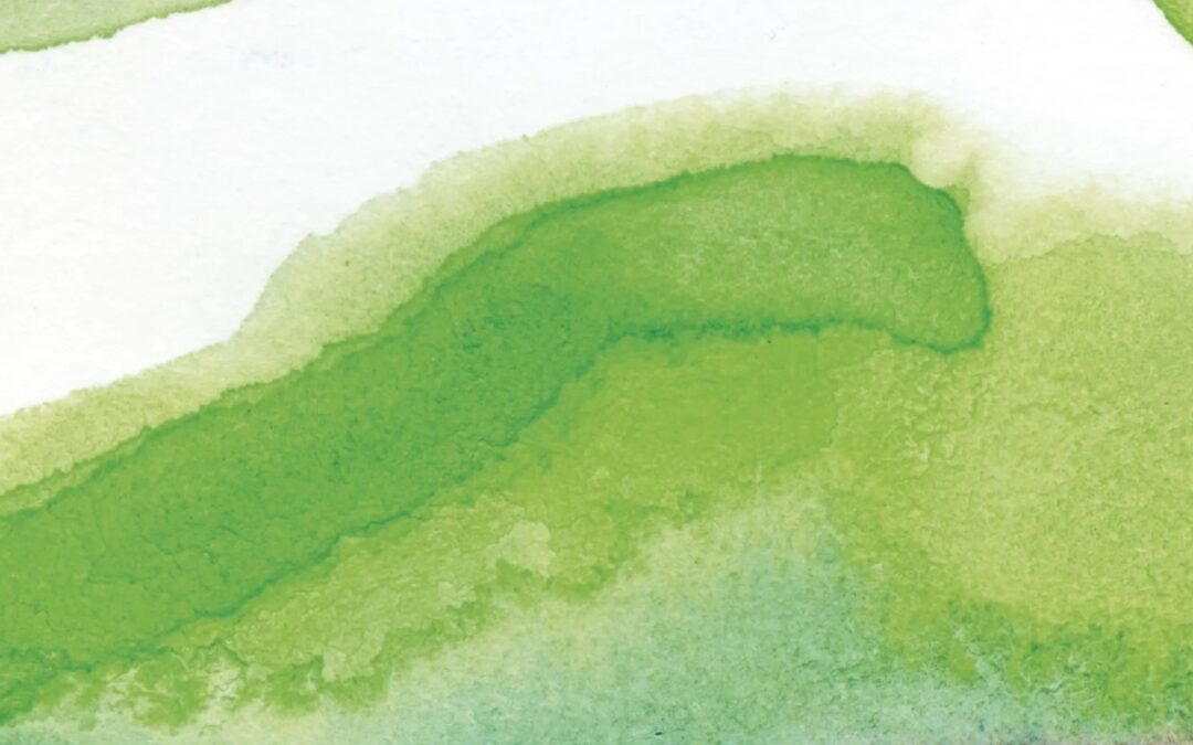 Beleef het Zondagochtendconcert van het Residentie Orkest – Chopin & Sibelius.